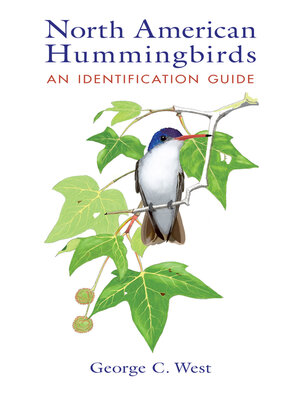 cover image of North American Hummingbirds